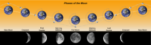 Phases of the moon