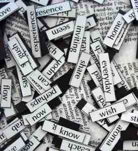 Photo Credit: Casandra MacDonald