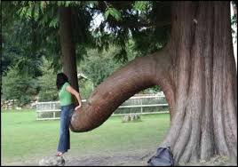 Photo: extremefunnyhumor.com