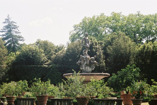 photo by The Doodler