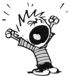 Image: Bill Watterson Calvin and Hobbes