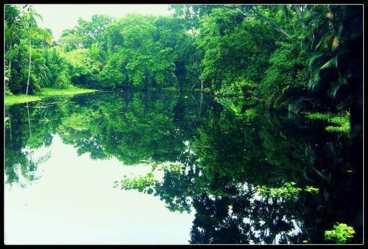 11816174_10155939794430608_7546630364099130379_o