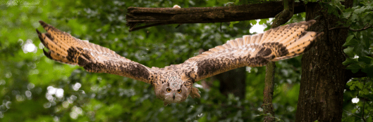 Screenshot 2016-03-14 16.57.02