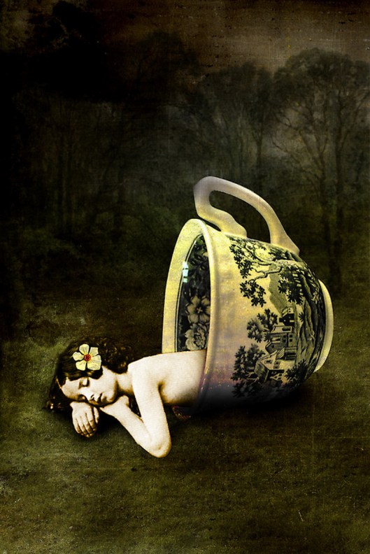 catrin-welz-stein-6