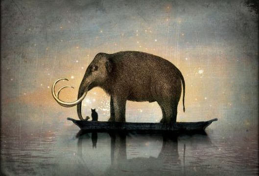 Silent-Night-Catrin-Welz-Stein-Acrylic-Glass-Print