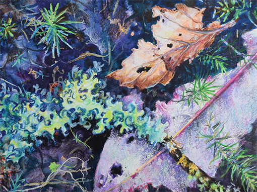 From Death Comes Life low res