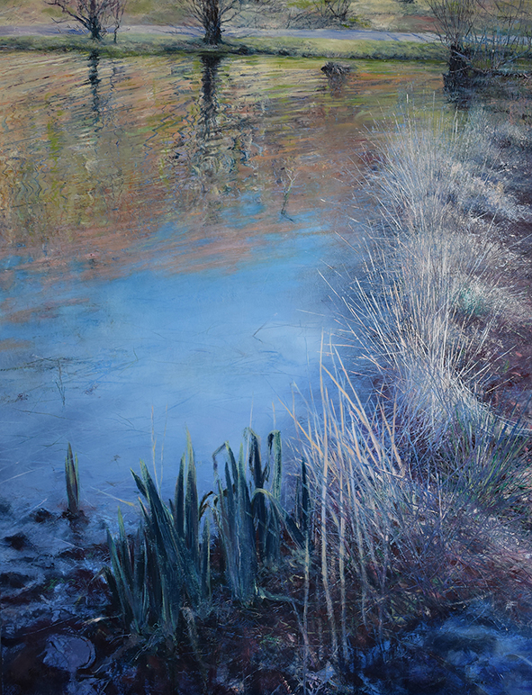 Grasses at Ennerdale water 1.5mb