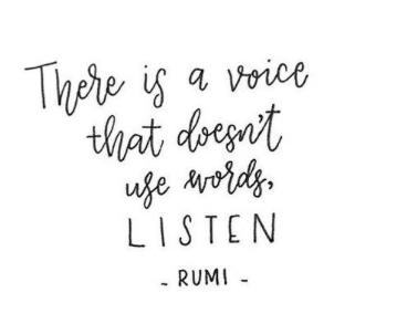 Screen Shot 2019-08-09 at 3.46.50 PM