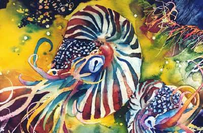 nautilus art top image