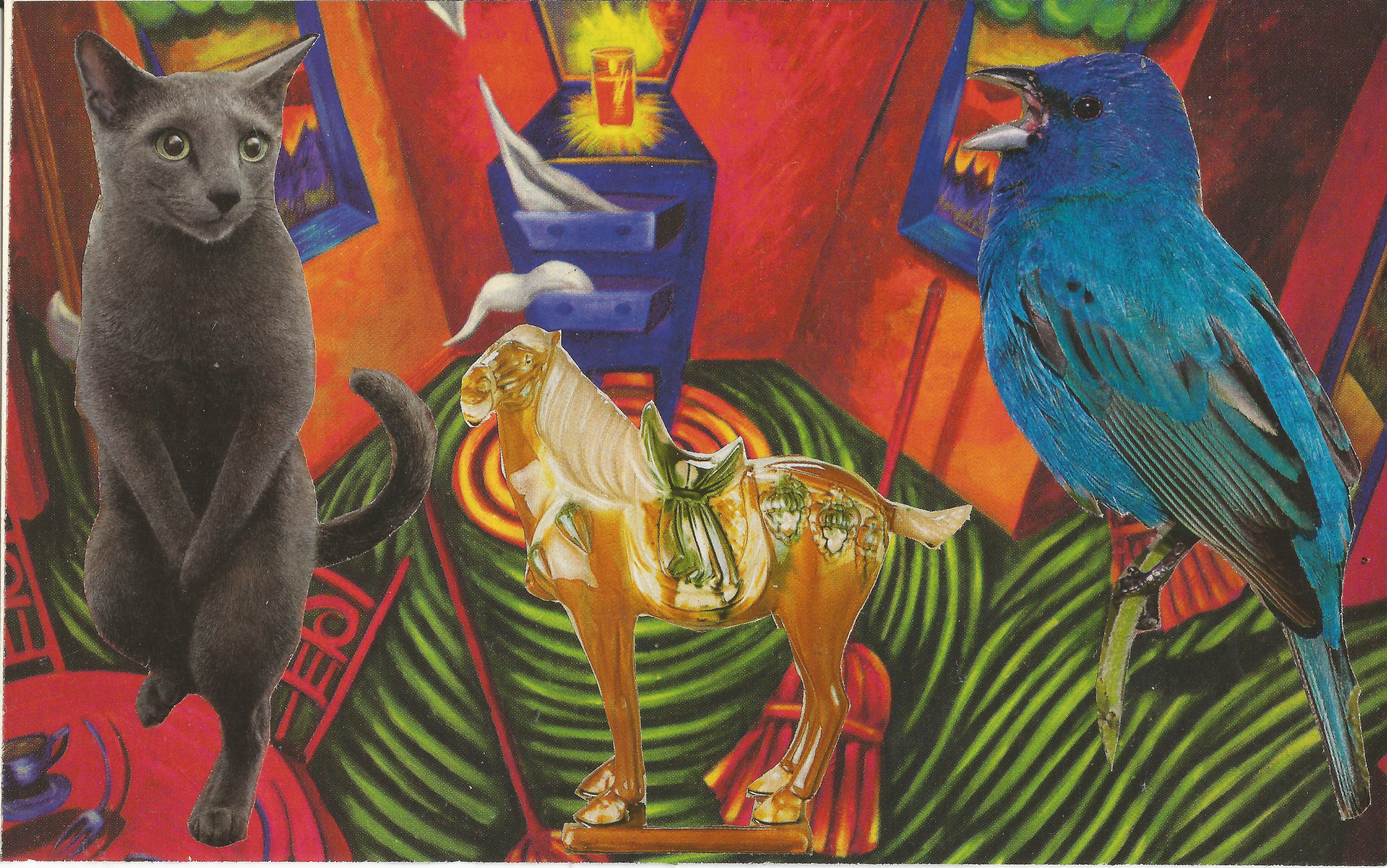 Party with horse cat and bird