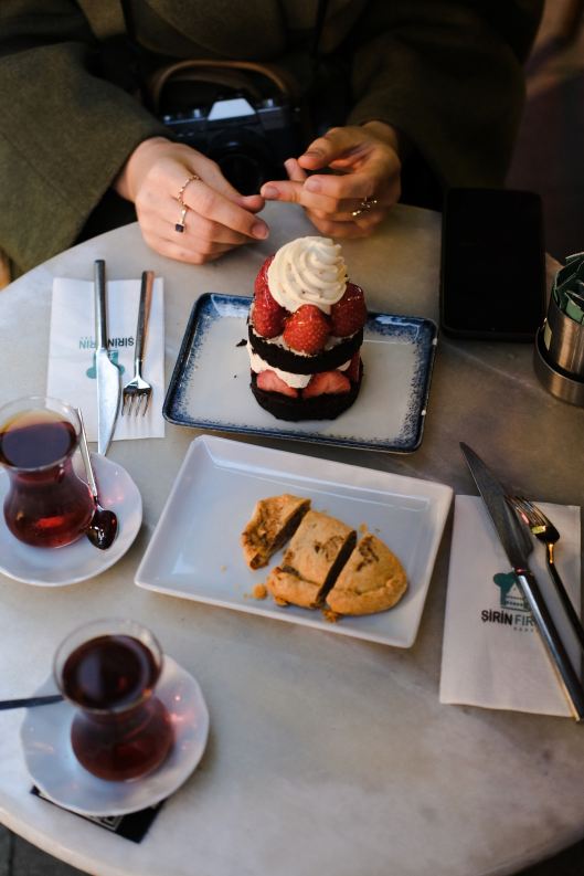 esra-afsar-HP5yIujdV1E-unsplash